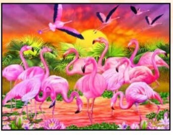 Flamingo Lingo - Magnet, Postcard, or Jotter