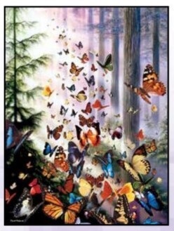 Bookmark - Butterfly Woods Orange Tassel