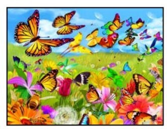 Butter Flutter - Magnet, 3D Postcard, or Bookmark