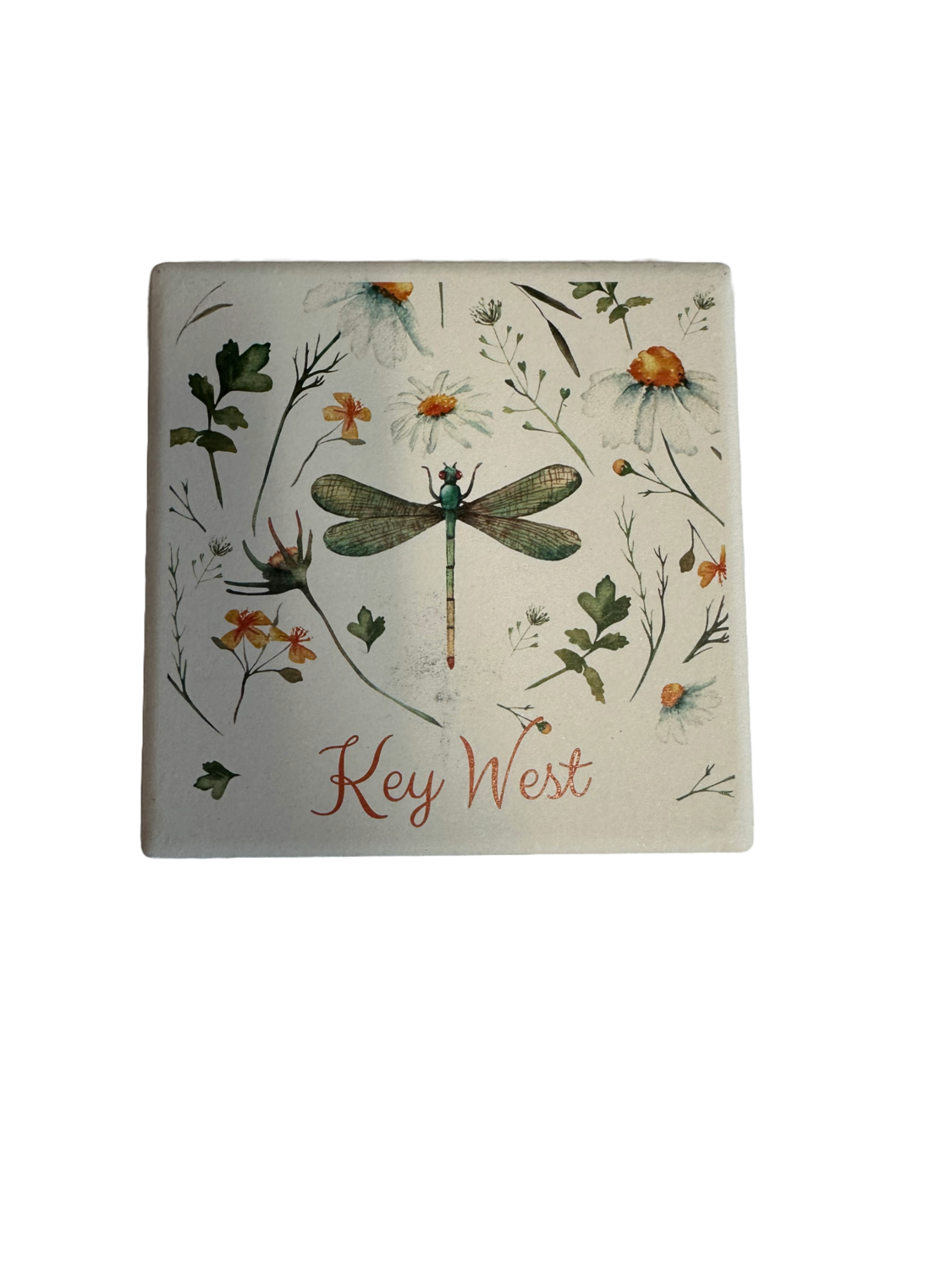 Coaster - Dragonfly