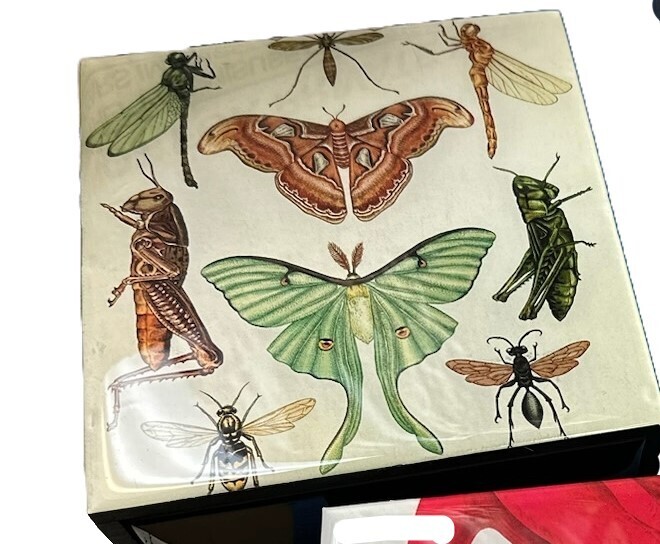 Box - Bugs and Moths