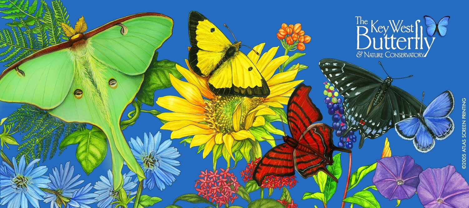 Mug - Butterfly Spectrum