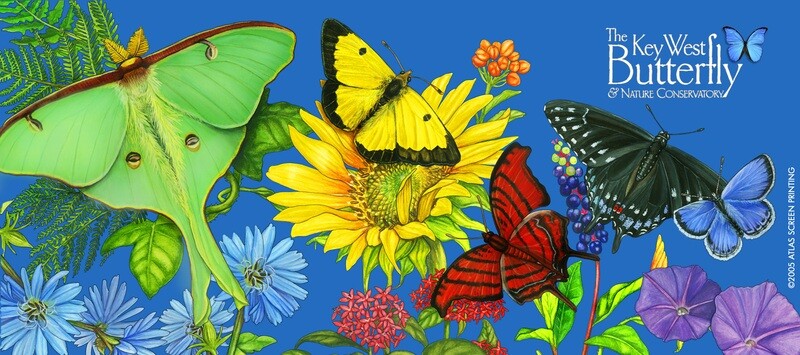 Mug - Butterfly Spectrum