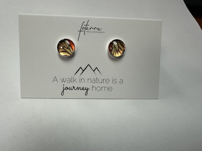 Earrings - Monarch Studs