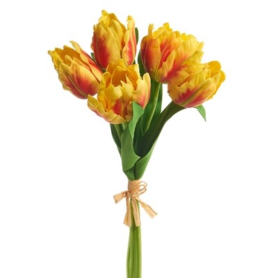Flower - Parrot Yellow Tulip Bundles