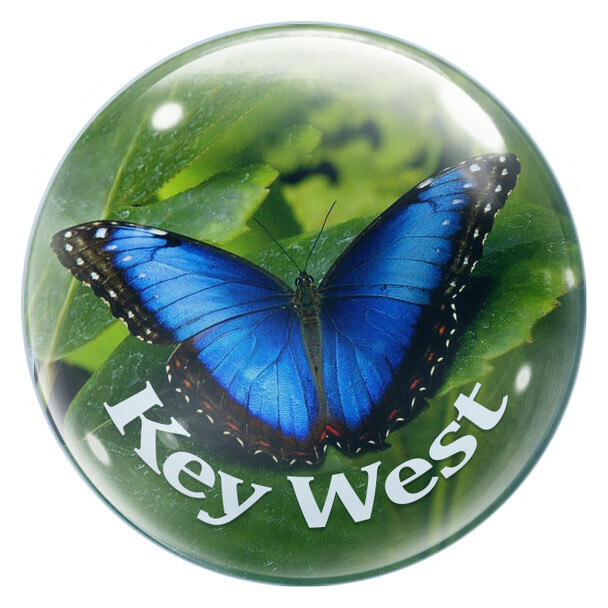Magnet -Blue Morpho Bubble