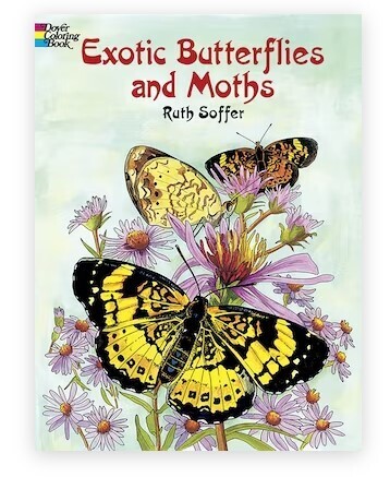 Book - Exotic  Butterflies and Moth Coloring Book