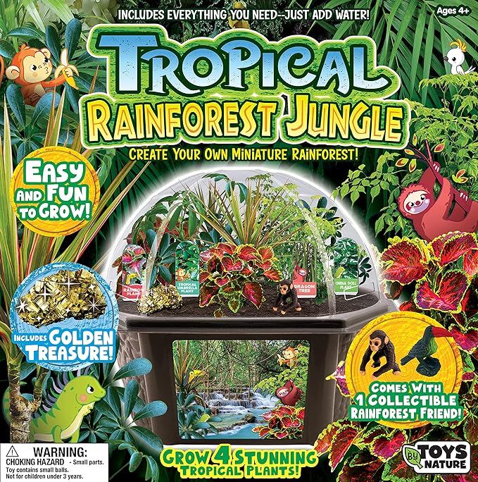Terrarium - Tropical Rainforest Jungle
