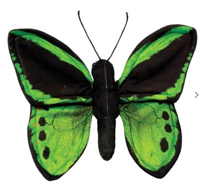Plush - Green and Black Butterfly