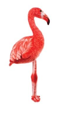 Plush - Flamingo