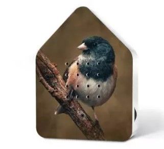 BirdyBox - American Robin