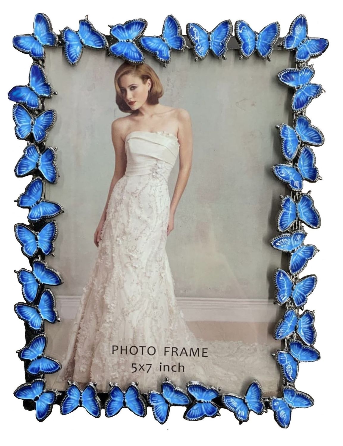 Frame - Blue Butterfly