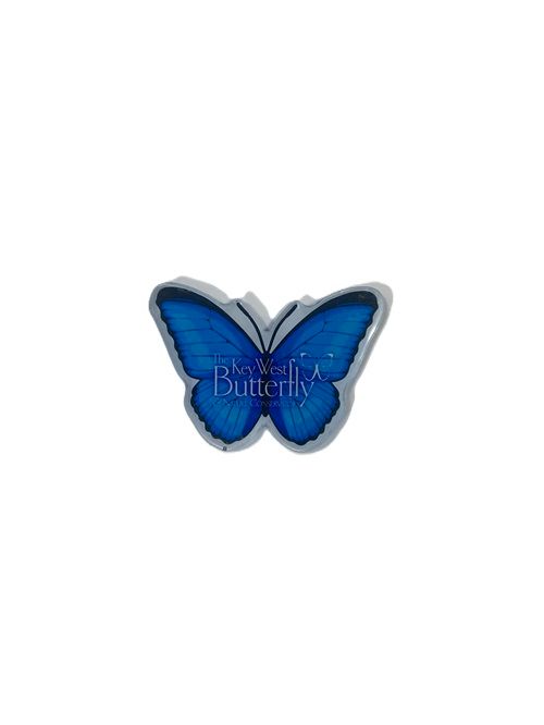 Magnet - Acrylic Morpho