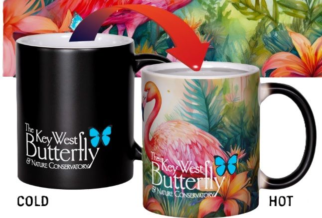 Mug - Color Changing Mug