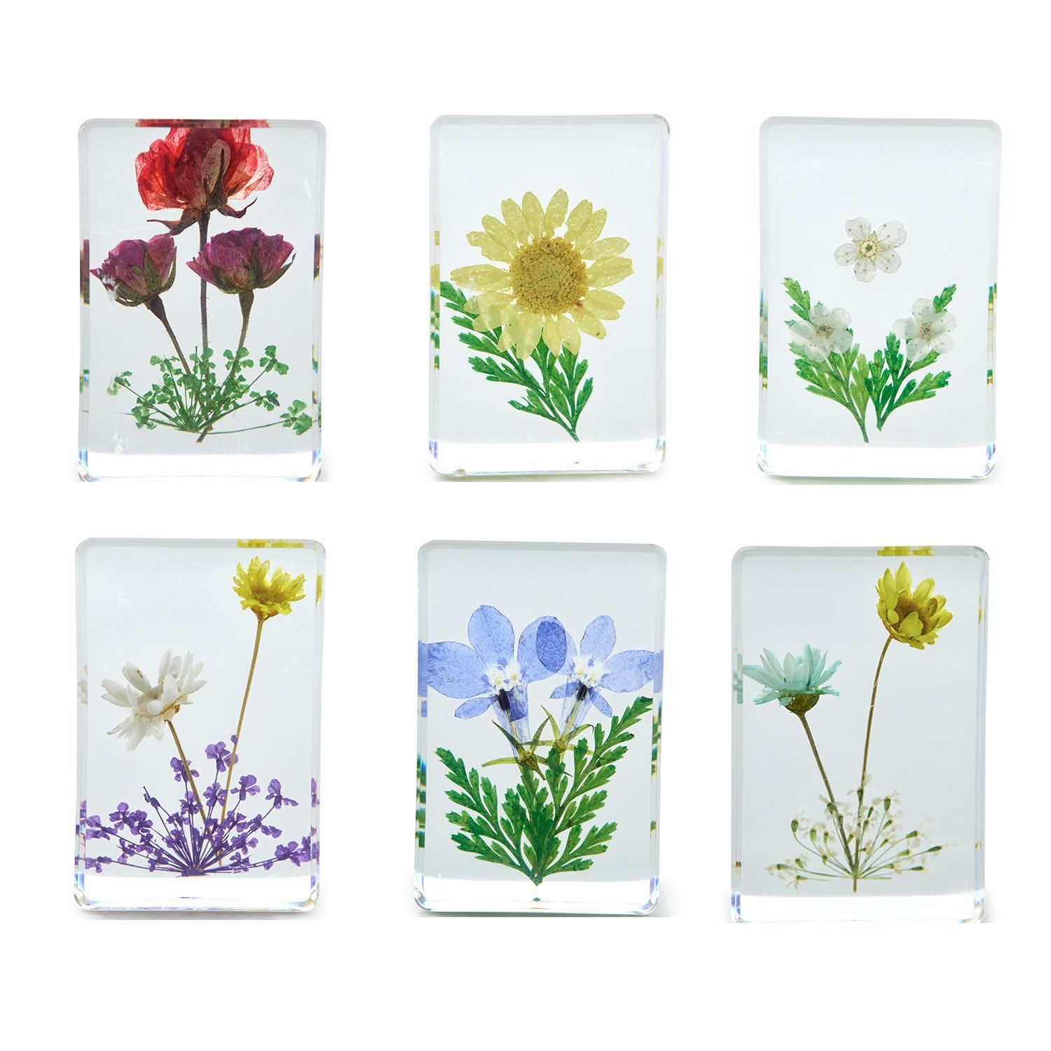 Trinket - Real Pressed Flower Blocks