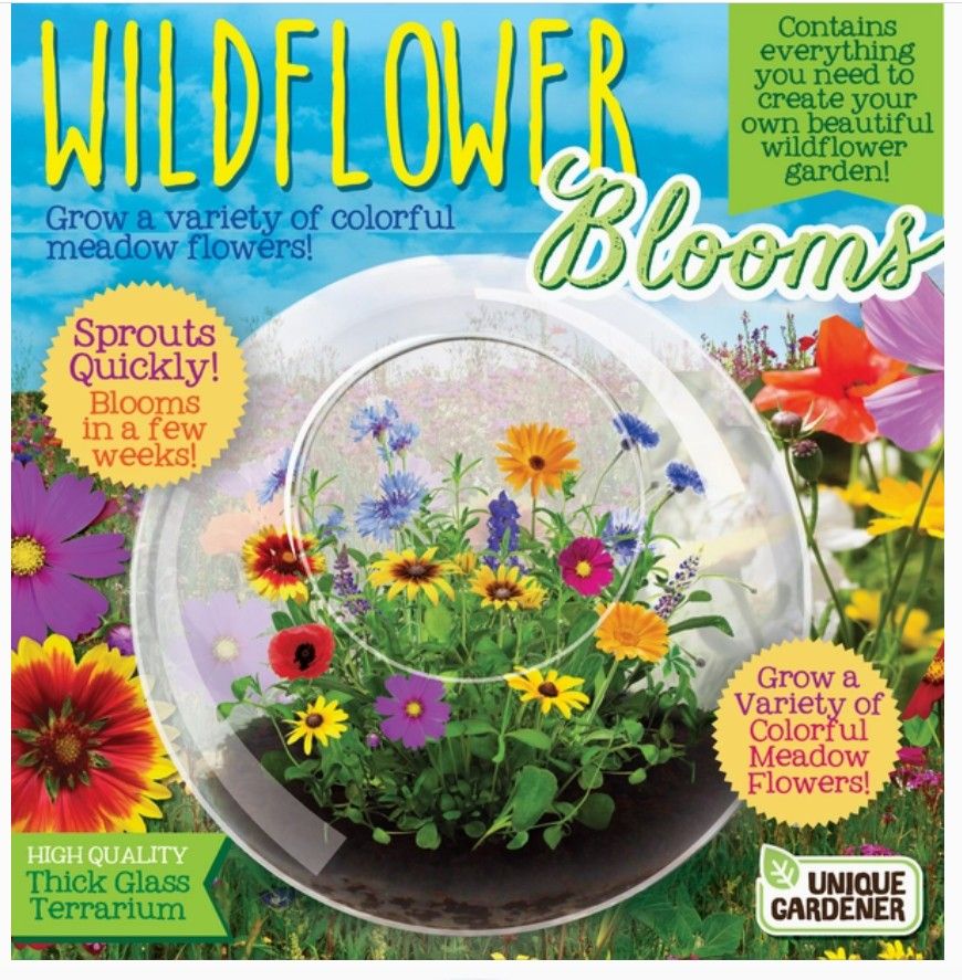 Terrarium - Wildflower Blooms