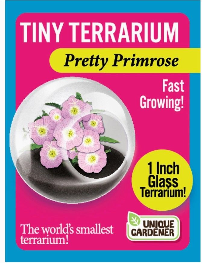 Terrarium - Pretty Primrose