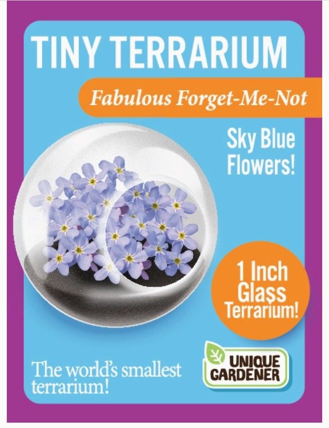 Terrarium - Tiny Sky Blue