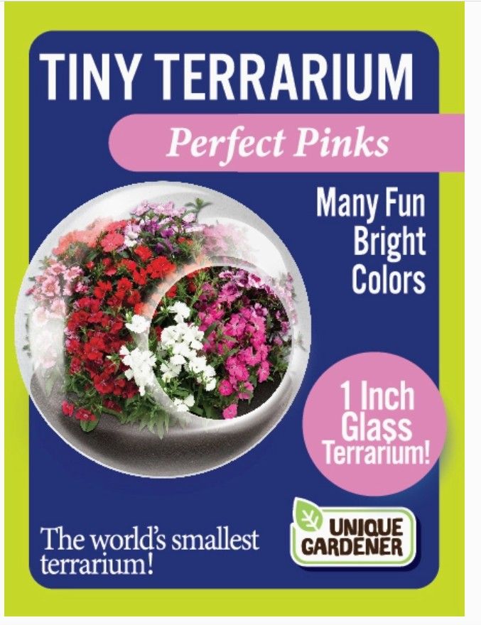 Terrarium - Perfect Pinks