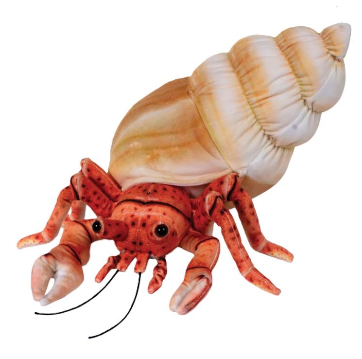 Plush - Hermit Crab