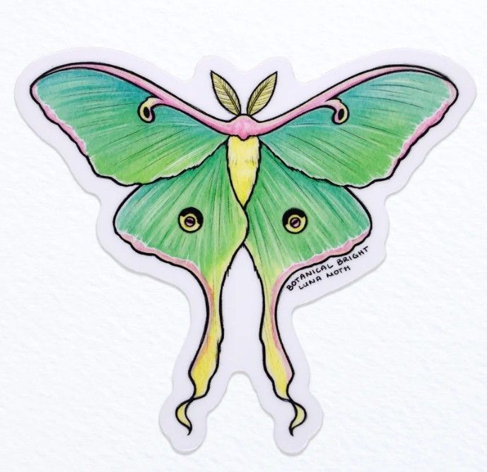 Sticker - Luna Moth