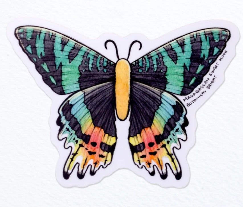 Sticker - Sunset Moth