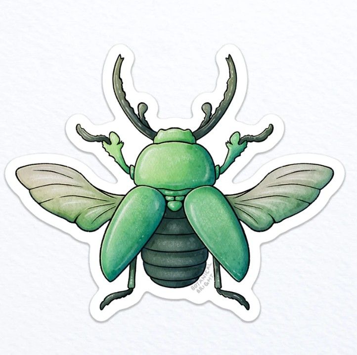 Sticker - Beetle