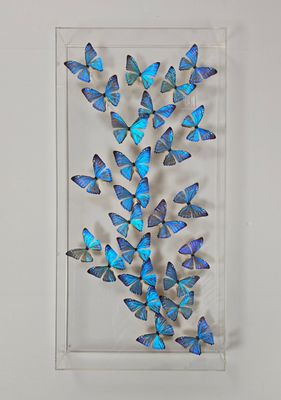 Butterfly Artwork - 15x30 Trail Special Blue
