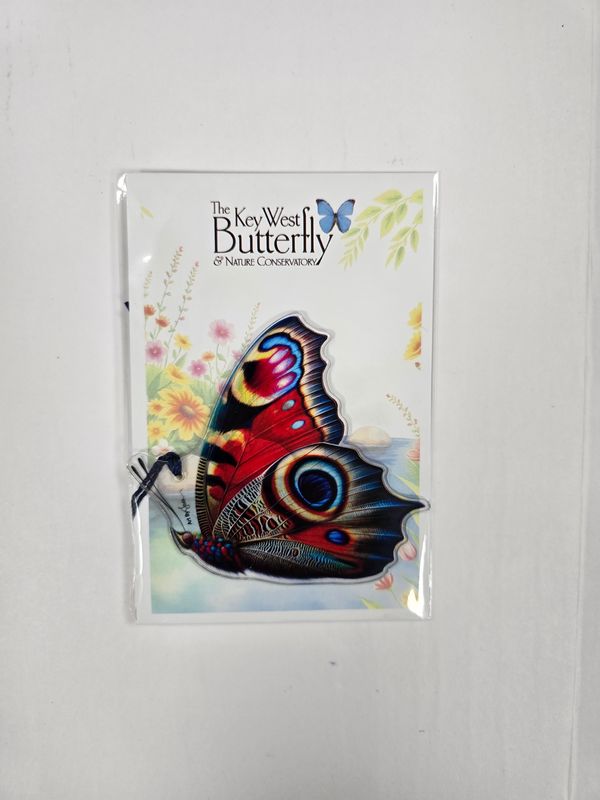Ornament - Multi-Color Butterfly