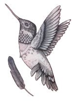 Tattoo - Hummingbird