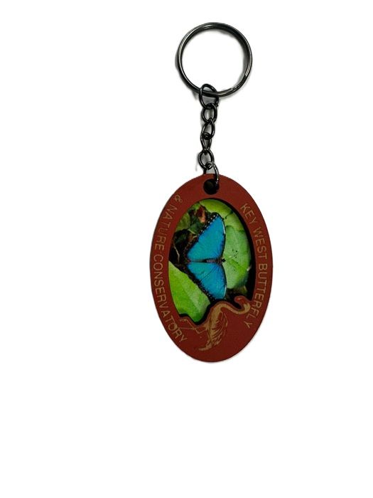 Key Chain-Blue Morpho