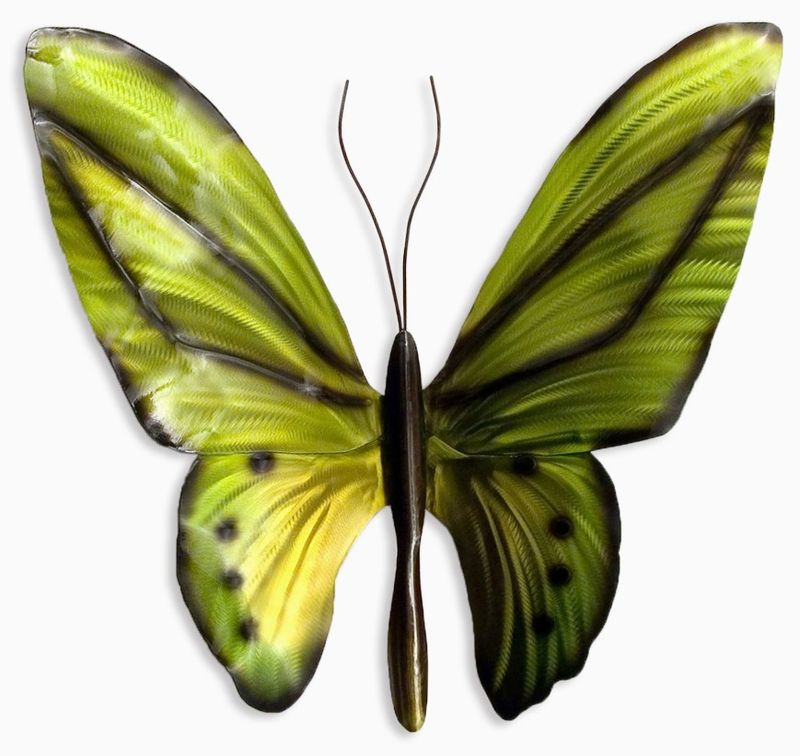 Copper Art - Aussie Birdwing