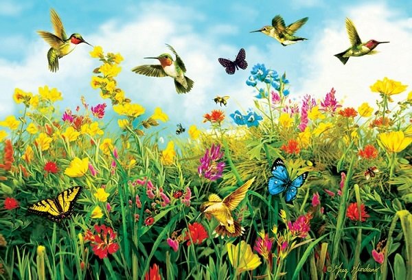 Puzzle - Hummingbird Fields