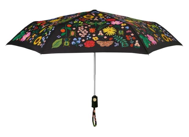 Umbrella - Curio