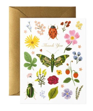 Card - Curio Thank You