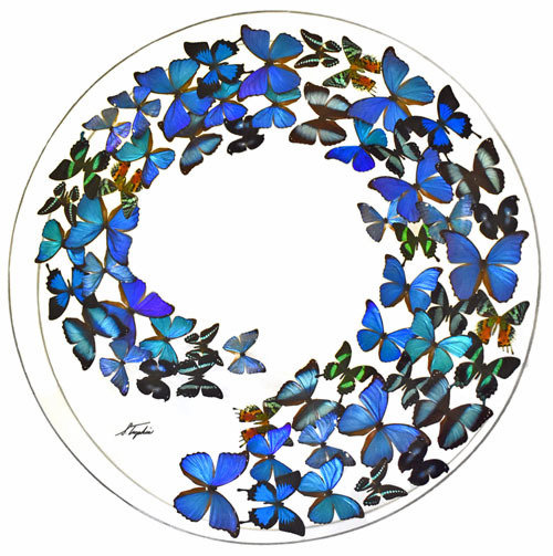 33 - 36" Circle Butterfly Display