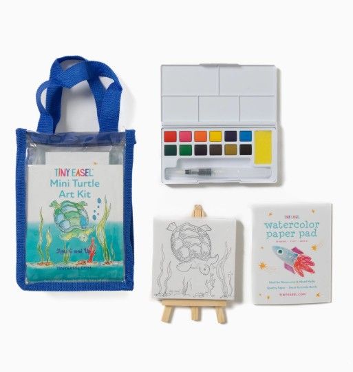 Art Kit - Mini Turtle