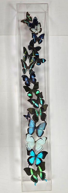 Butterfly Artwork - 6x36 Vertical Blue and Green