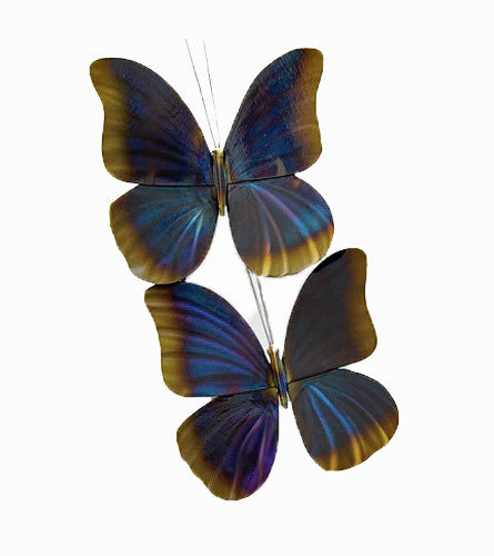 Copper Art - Blue Morpho Double