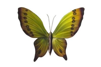 Copper Art - Green Butterfly