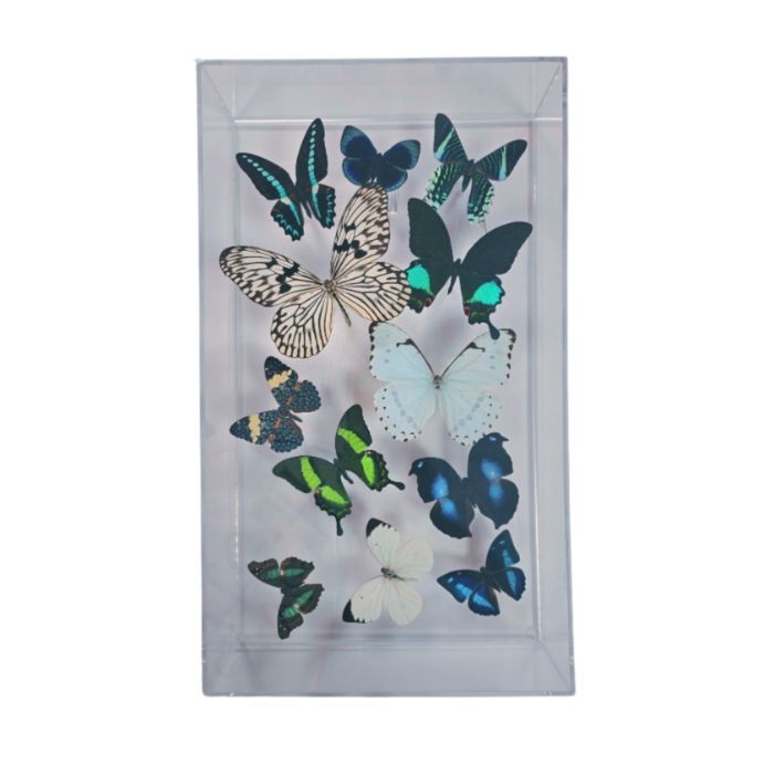 Butterfly Artwork - 10x17 Flight