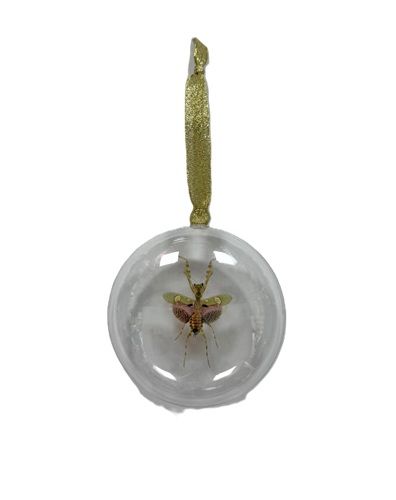 Ornament - Bug Medium