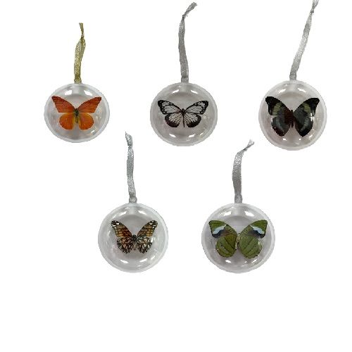 Ornament - Butterfly Medium