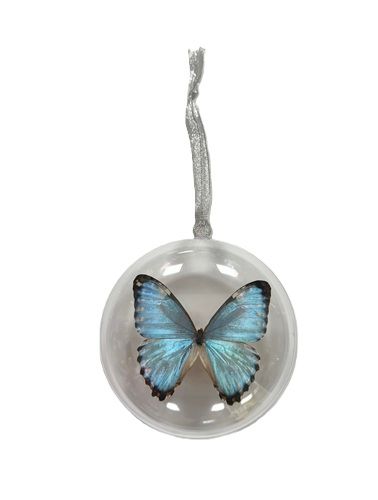 Ornament - Morpho