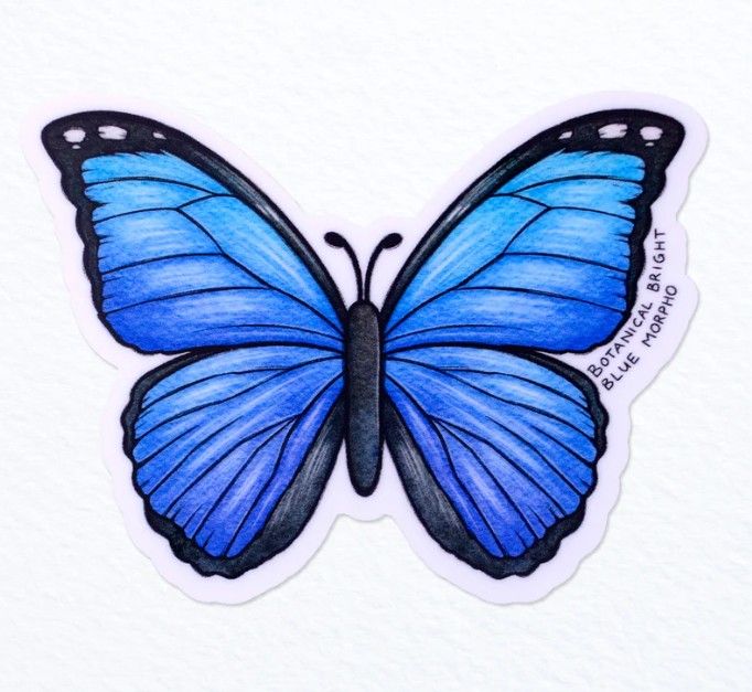 Sticker - Blue Morpho