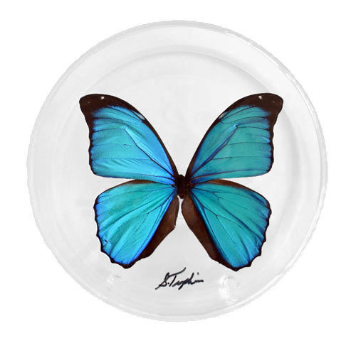 05 - 6" Round Display With One Butterfly