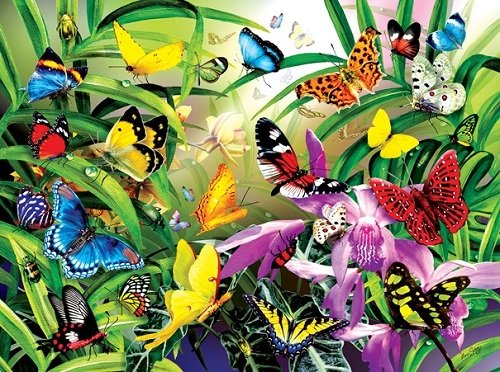 Puzzle - Tropical Butterflies