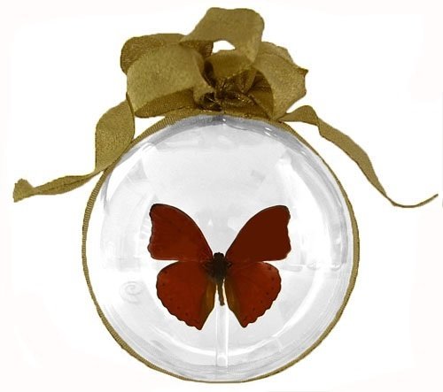 35 - Small Butterfly Ornament
