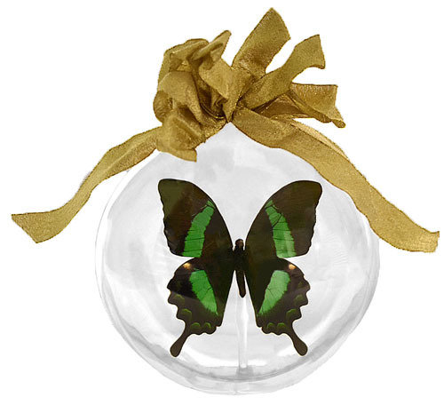 36 - Large Butterfly Ornament