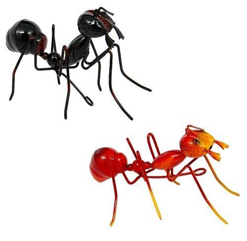 Wall Art - Ants